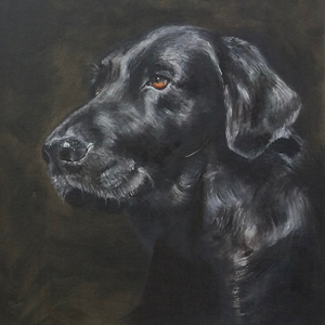 Black Labrador pet portrait by Claire Dale 