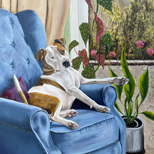 Staffordshire Bull Terrier pet portrait by Claire Dale