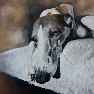 Greyhound pet portrait by Claire Dale