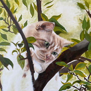 Cat in tree pet portrait by Claire Dale